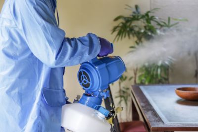 Commercial Fumigation in Myrtle Beach, SC