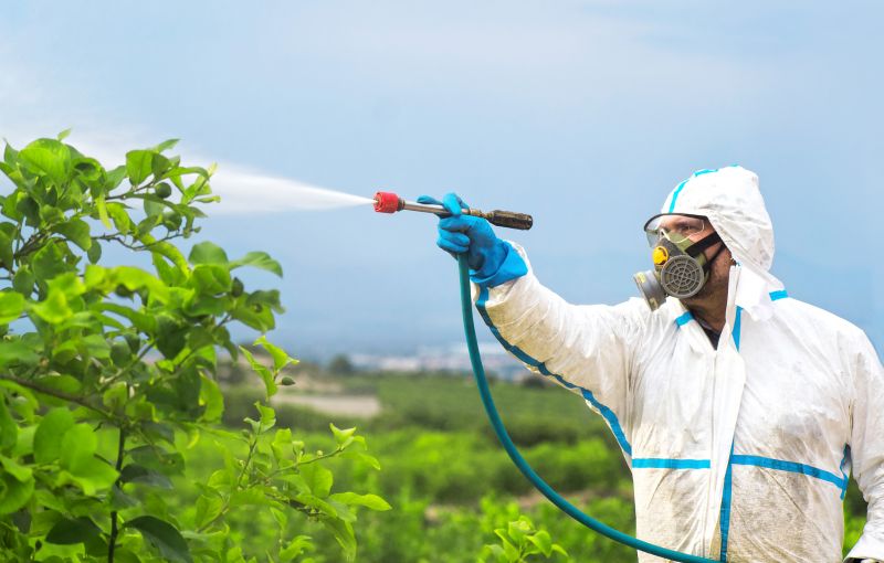 Rat Fumigation Service in Naperville, IL