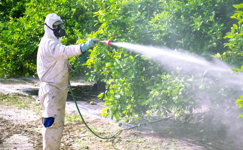 Roach Fumigation in West Palm Beach, FL