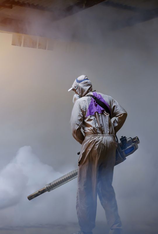 Rat Fumigation Service in Toledo, OH