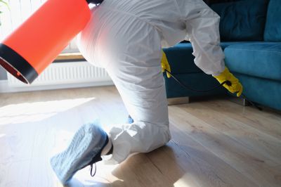 Roach Fumigation in Tampa, FL