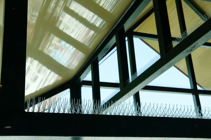 Bird Spike Installations