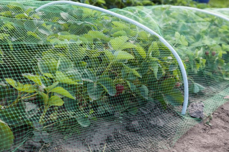Netting Solutions
